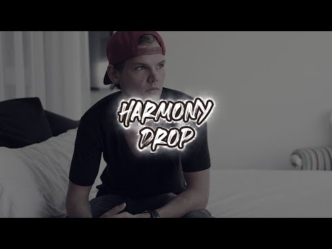 Avicii & Nicky Romero - I Could Be the One (DJ 491 Remix)