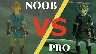 Breath of the Wild NOOB VS PRO