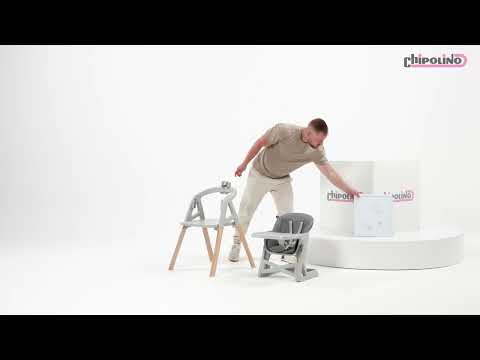 Scaun de masa Chipolino Multi 4 in 1