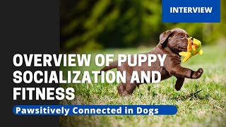 Overview of Puppy Socialization and Fitness