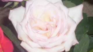 A Man&#39;s Home is His Castle