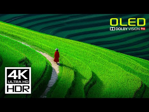 Unbelievable: The Most Stunning HDR Video You Haven't Seen Yet! - 4K 60 FPS Dolby Vision