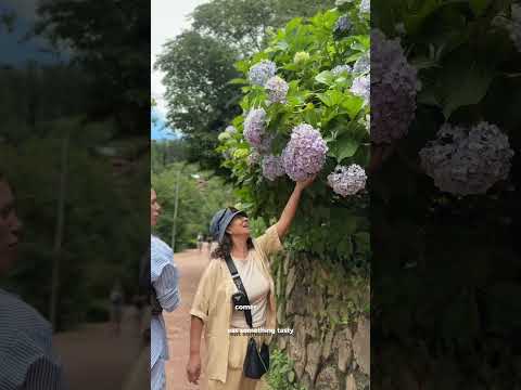 Pueblo Suizo escondido en Argentina #andreamodoturista #argentina #lacumbrecita