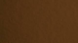 Walnut Wood Background | Rich & Elegant Video Wallpaper (1 Hour, 4K)