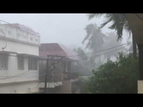 Dance of the drunken coconut trees! #Fani #cyclone