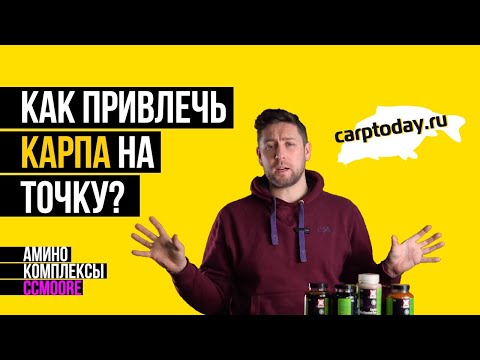 Аминокомплекс CCMOORE Amino Blend 365 (500 мл) №1 Аминокомплекс CCMOORE Amino Blend 365 (500 мл) №1