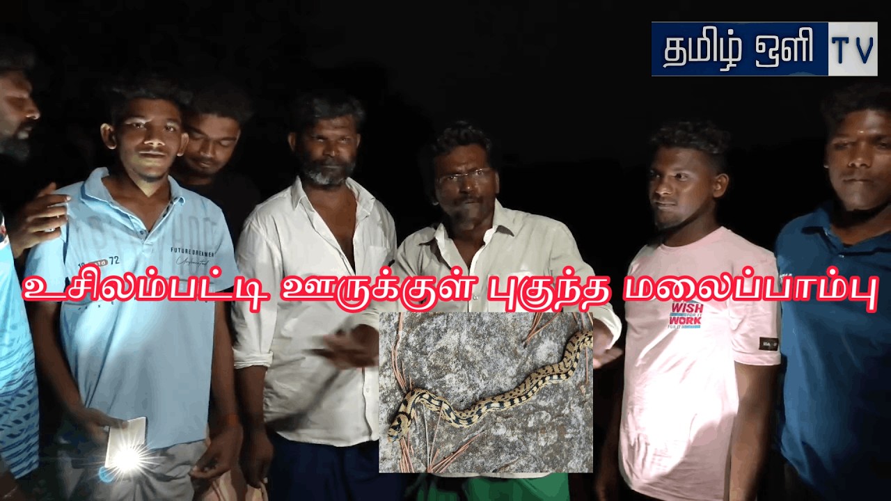 உசிலம்பட்டி அருகே ஊருக்குள் புகுந்த மலைப்பாம்பு பரபரப்பு #snake #usilampatti t