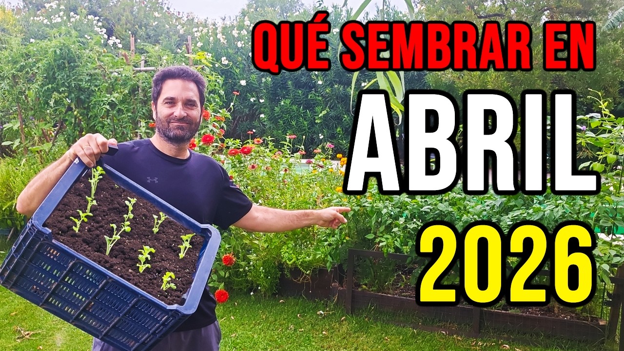 Calendario de Siembra 2026: Que sembrar en ABRIL en el Huerto-INICIO de Otoño e INICIO de PRIMAVERA