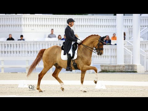 GPF - 80% + !!! Julio and Jewels Goldstrike 2023