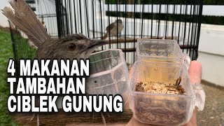 Download lagu 4 foods for mountain ciblek to make it sing quickly mp3