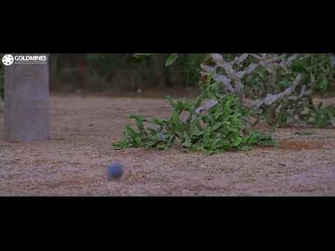 Main_Hoon_Bodyguard_(Kaavalan)_Hindi_Dubbed_Full_Movie___Vijay__Asin__Mithra_Kurian(720p)_00