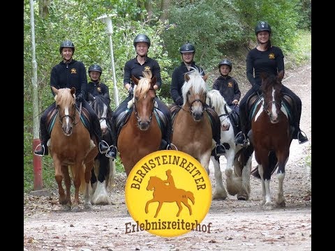 Video 7 aus  Bernsteinreiter Barth