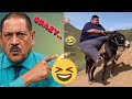Crazy Funniest Videos Ever In The World Eps 5 Impossible Try Not To Laugh Challenge 2025