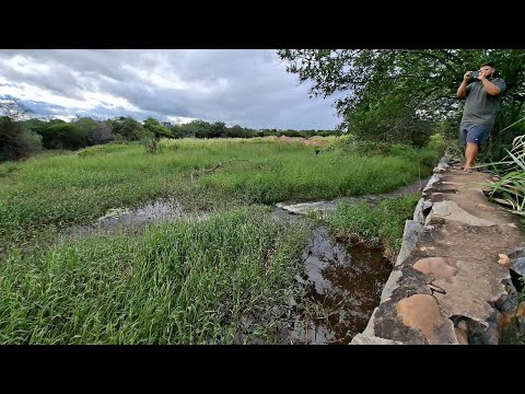 OLHA O QUE ACONTECEU COM ESSA BARRAGEM NO MUNICÍPIO DE CATURAMA BAHIA #bahia #nordeste #sertão