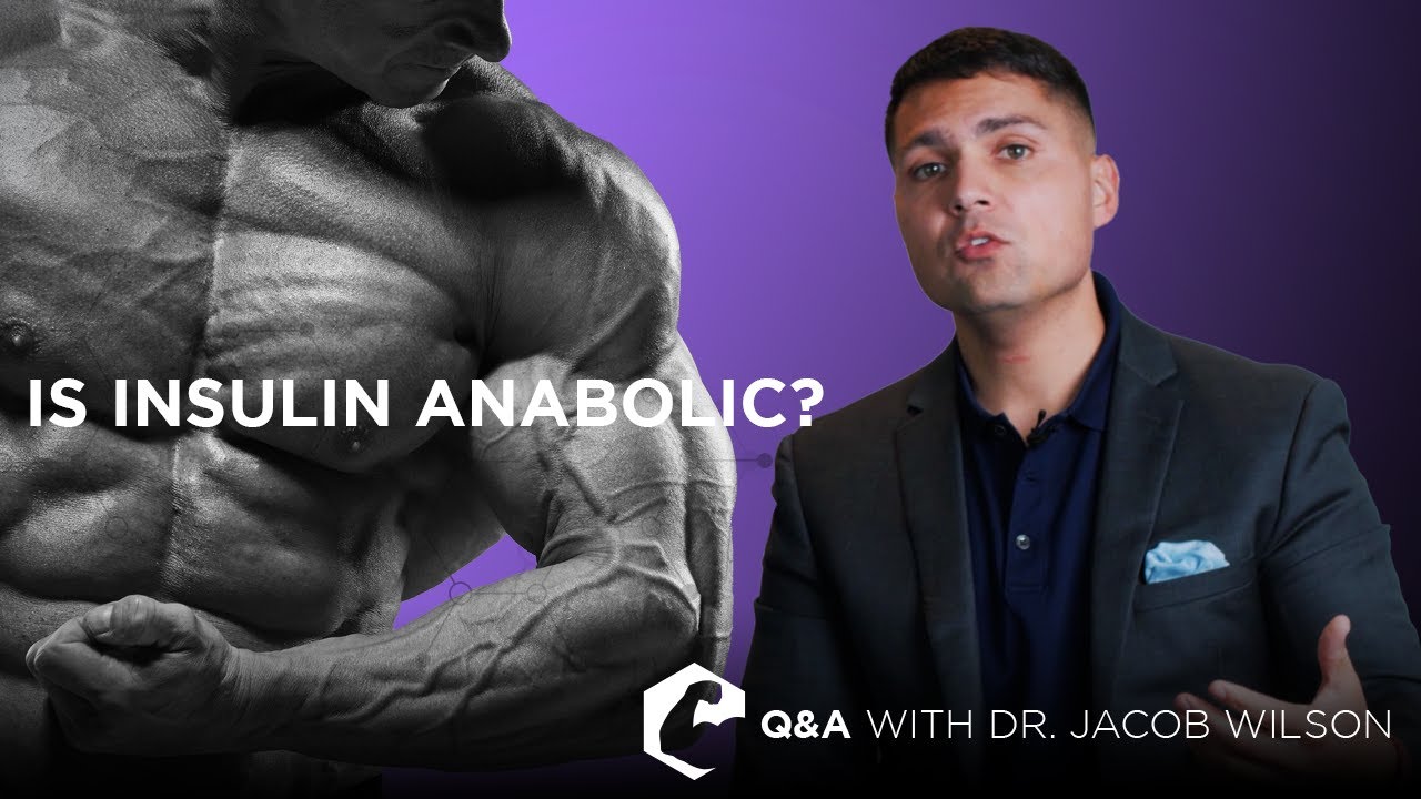 Is Insulin Anabolic?