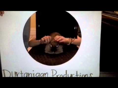 as you like it blooper 1