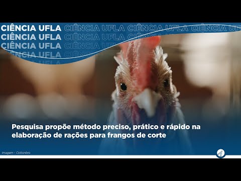 Pesquisa propõe método preciso, prático e rápido na elaboração de rações para frangos de corte