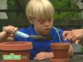 Elmo S World Growing Beans