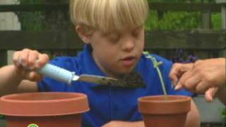 Elmo's World: Growing Beans