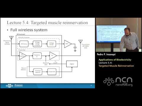 nanoHUB-U Bioelectricity L5.4: Applications of Bioelectricity - Targeted Muscle Reinnervation