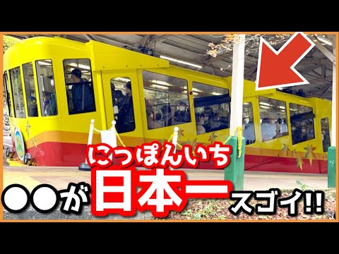 児童教育学科 【知識】でんしゃクイズ★でんしゃ なんでも にほんいち★E5系はやぶさ・N700系のぞみ・ケーブルカー・東海道線E231系ほか