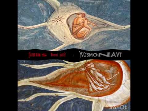 Fumus Boni Juris - KOSMONAVT (In Groove We Trust)