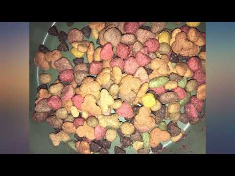 Hill's Science Diet Dry Dog Food, Adult 1-6 review