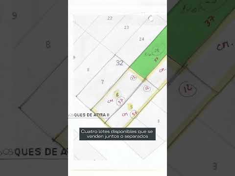 TERRENOS ARBOLADOS EN ATYRÁ CORDILLERA, SOBRE RUTA, 1.800 M², JUNTOS O SEPARADOS