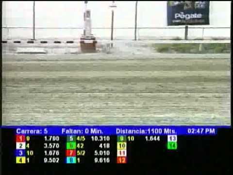 Resumen Sábado, 20 de Abril de 2013 - La Rinconada