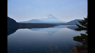 Come and Go with Me　/Peter, Paul &amp; Mary 【カバー】　FJB