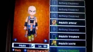 Dragon Quest IX - Aquila - 1stpltpkmnTR's request