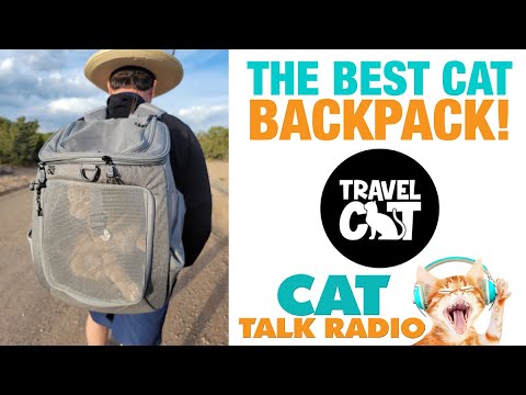 Cat Talk Radio Episode - The Best Cat Backpack!