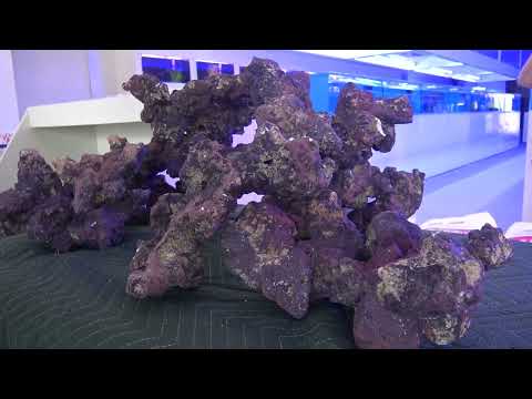 HOW TO: Aquascape a Reef Tank