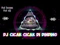 DJ CICAK CICAK DI DINDING DJ PALING ASIK DJ TERBARU 2024