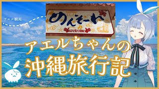 【実写】アエルちゃんの沖縄旅行記【数年前】