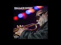 Wallace Roney - Search for Peace