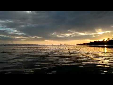 Beauty, Attractiveness, Prettiness, Comeliness.❤️ beauty of nature 🥰🥰 #beauty #shortvideo