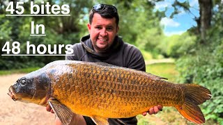 Summer Fishing for Big Ghost Carp | Tom Maker