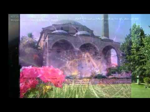 Dëshmia e Qartë (Komentimi i Sures El-Bejjine) - Ismail Bardhoshi