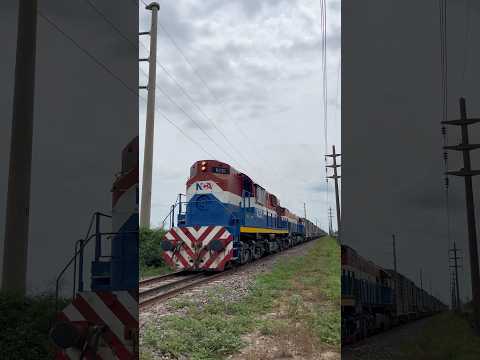 Una Alco y una GT22 en tándem con un tren de NCA - Enero 2025