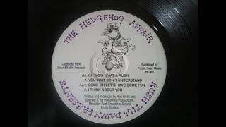 Hedgehog Affair - You Just Don't Understand