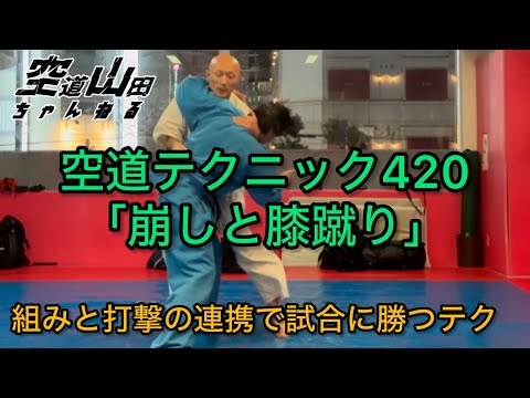 【武道】崩しと膝蹴り【格闘技】