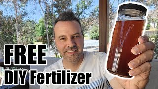 What I Use Instead of Miracle-Grow. Plus Free HomeMade Fertilizer!