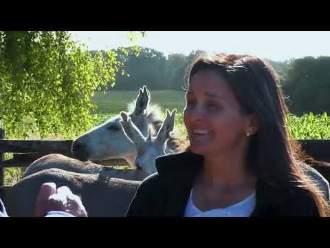 Crónicas de la Patagonia. Capítulo 13 "Nuevos productos del sur Parte II".