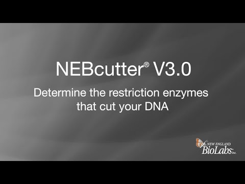 Neb Buffer Compatibility
