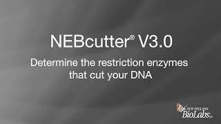 NEBcutter® V3.0 -  Determine the restriction enzymes that cut your DNA