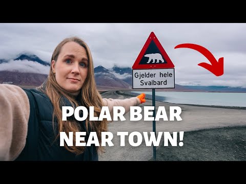 2nd YouTube video about are there polar bears in norway