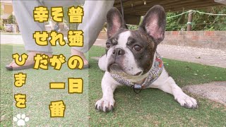 【フレブルvlog】何でもない日こそ幸せを感じる☺️　　　　　　　　　　　　　          "Finding happiness in the ordinary days."