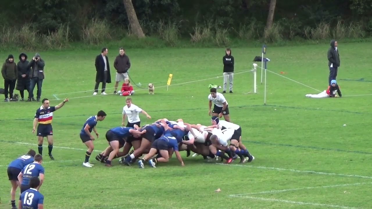 Waverley College 1st XV v Knox Grammar School 1st XV - 2021