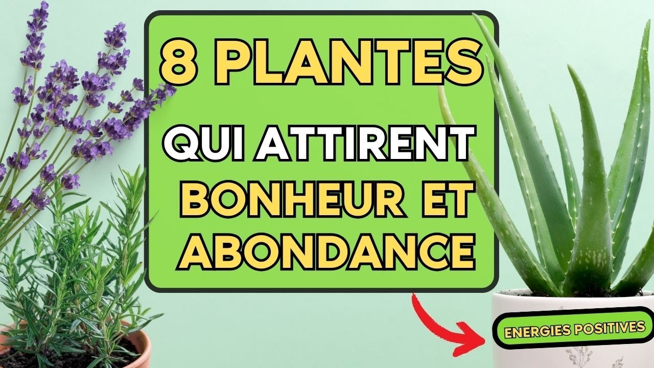 8 PLANTES pour ATTIRER les ENERGIES POSITIVES dans SA MAISON